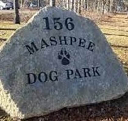 exploring the best dog-friendly parks on cape cod