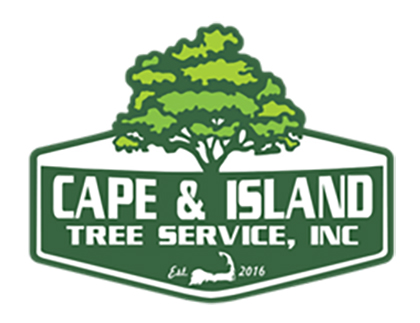 top 10 arborist on cape cod and the islands