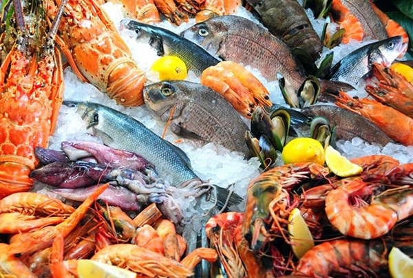 seafood markets on cape cod