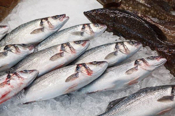 top 8 fish markets in nantucket