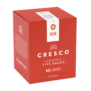 top 12 amazing cannabis products for seniors on cape cod