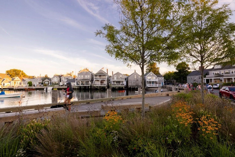 8 nature inspired dog friendly parks in nantucket