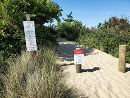 8 nature inspired dog friendly parks in nantucket