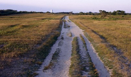 enjoy 10 blissful escape trails with your pet in nantucket