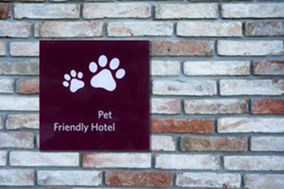 top 7 dog-friendly lodgings in plymouth, massachusetts
