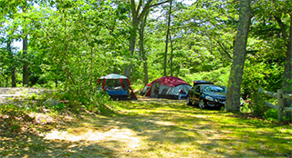 campgrounds on cape cod ma