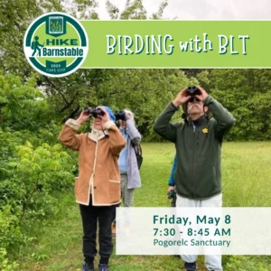birding with BTL