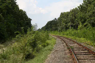 cape cod scenic railroad