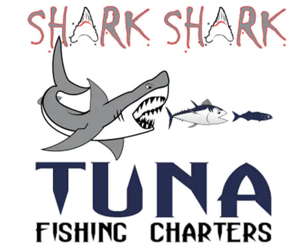 logo shark shark tuna fishing charters cape cod