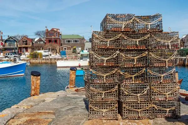 cape cod aquaculture: cape cod shellfish farms