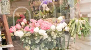 best 12 lush florist shops on cape cod 2024