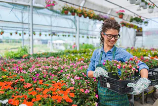 12 plant nurseries in cape cod to support your vision