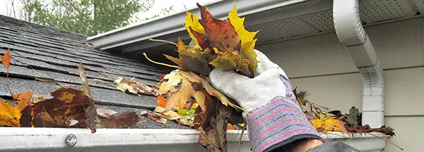 top 10 gutter cleaning companies in the cape cod