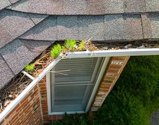 top 10 gutter cleaning companies in the cape cod