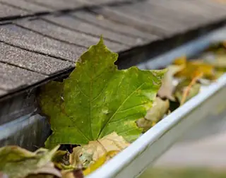 top 10 gutter cleaning companies in the cape cod