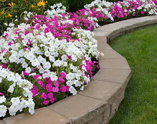 top 20 landscaping companies on cape cod & the islands